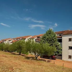 Hostin Garoful Duga Uvala Appartamento Pavicini